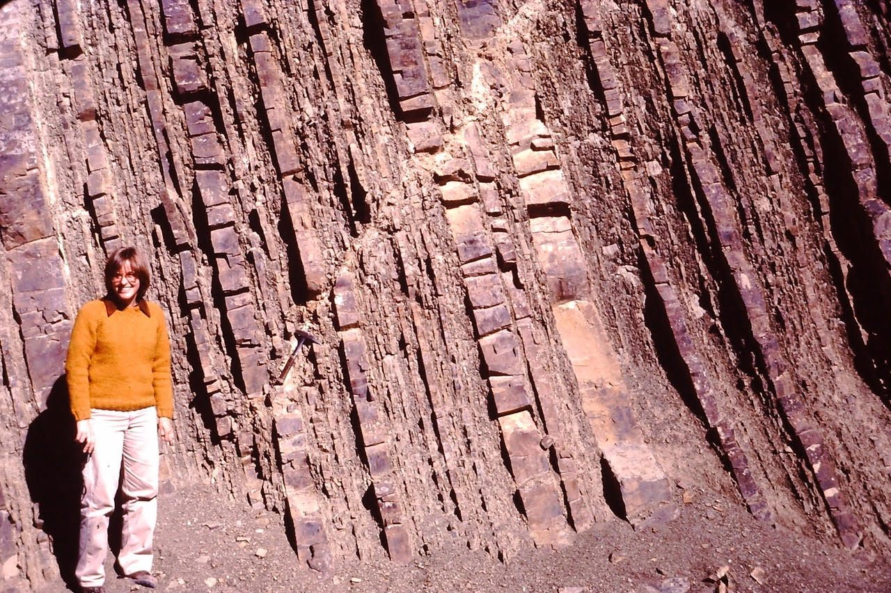 1758872501_denise outcrop.jpg